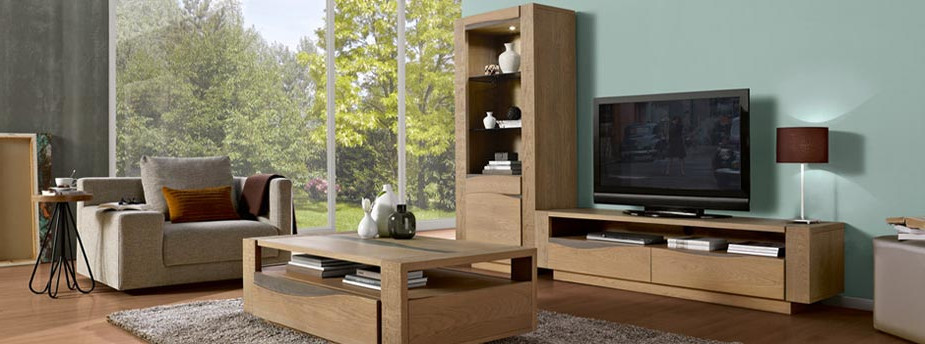 salon composé de meubles en bois